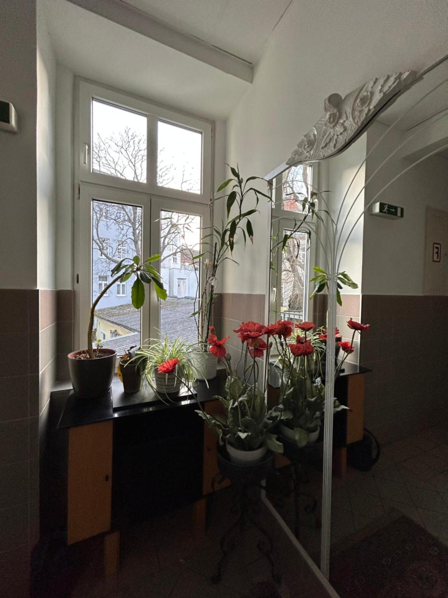 Reiner Apartment Відень Екстер'єр фото